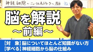 第四部背景理論　第５章１節　脳を解説（前編、脳と薬物治療）神経細胞〜ニューラルネットワーク（神経回路）〜脳　#精神医学　#脳科学