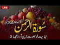 Surah Rahman Urdu Tarjuma ke Sath | Abdul Basit Abdul Samad | Surah Rahman | Noor Quran Recitation