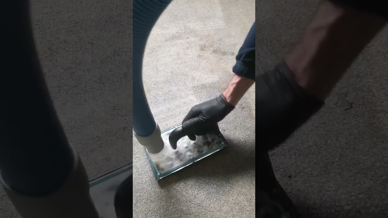 Super dirty stain removal on a carpet. Lots of foam from customers own products. #satisfying #grime