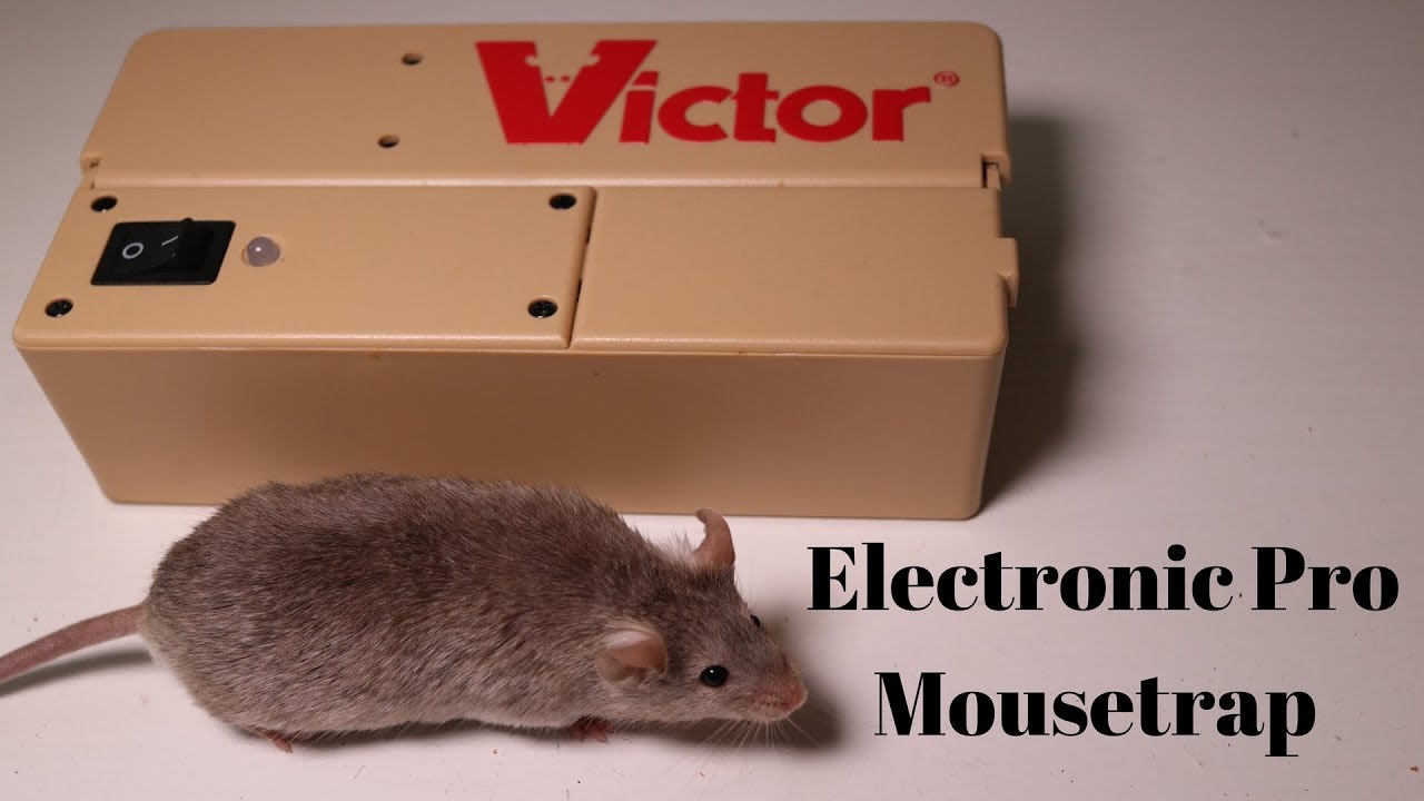 Victor Electronic Pro Mousetrap. Mousetrap Monday. 