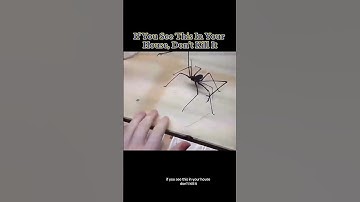 If I see that thing im moving countries #gorebox #memes #joke #funny