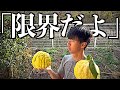 【ご近所トラブル】やられてばかりなので、仕返しします。