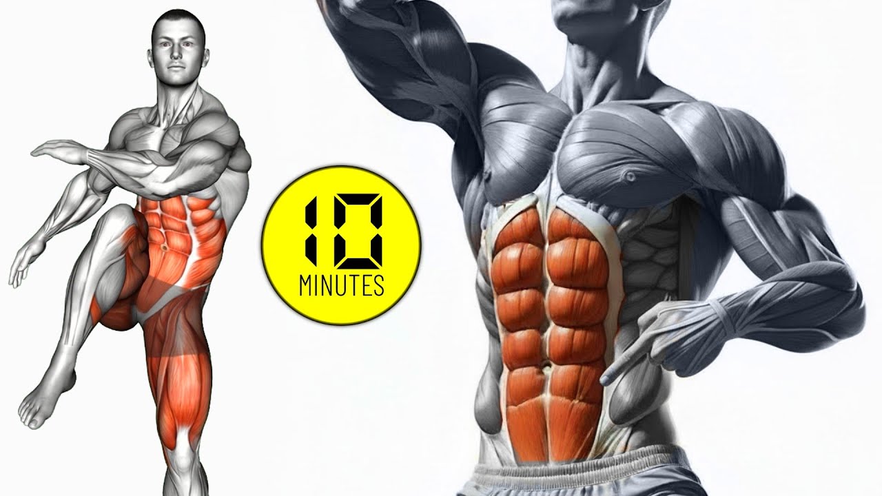 10-минутная тренировка мышц живота стоя для избавления от жира на животе за 7 дней