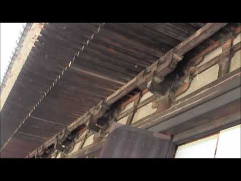 京都/国宝/名寺院ぶらり散歩(9/3)-京都『三十三間堂」の外観一周、堂内は千躰の仏像が平和を祈る - YouTube