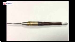 PHIL TAYLOR - NEW TARGET DARTS