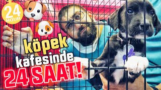 "I ATE DOG FOOD 😲 LIVING IN DOG CAGE FOR 24 HOURS 😜 (Special for October 4 Animals Day)