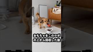 ボールを投げると絶対に落とさないロボに水を垂らせばこぼさないはず！