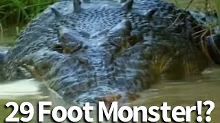29 Foot Crocodile in Australia Seen