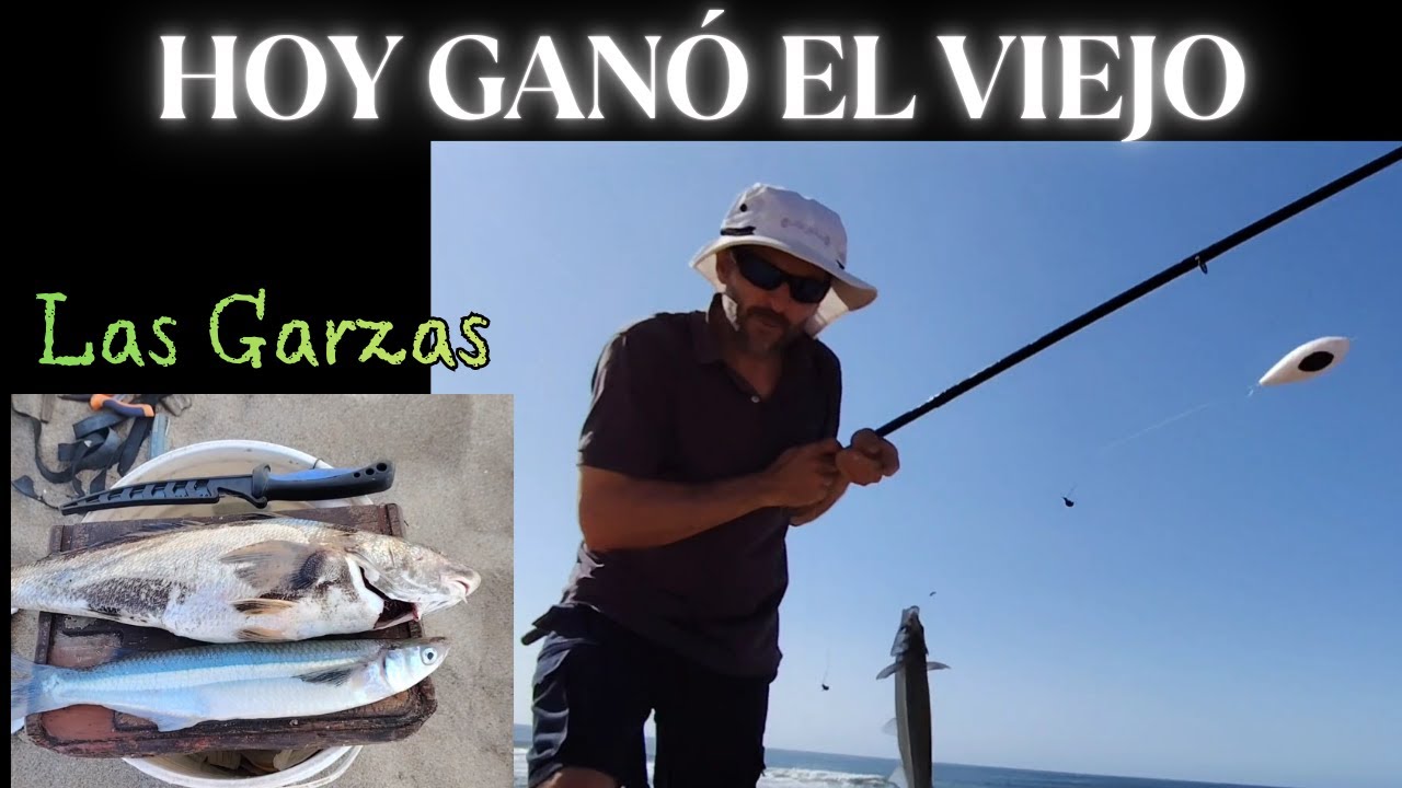 Pesquero Las Garzas