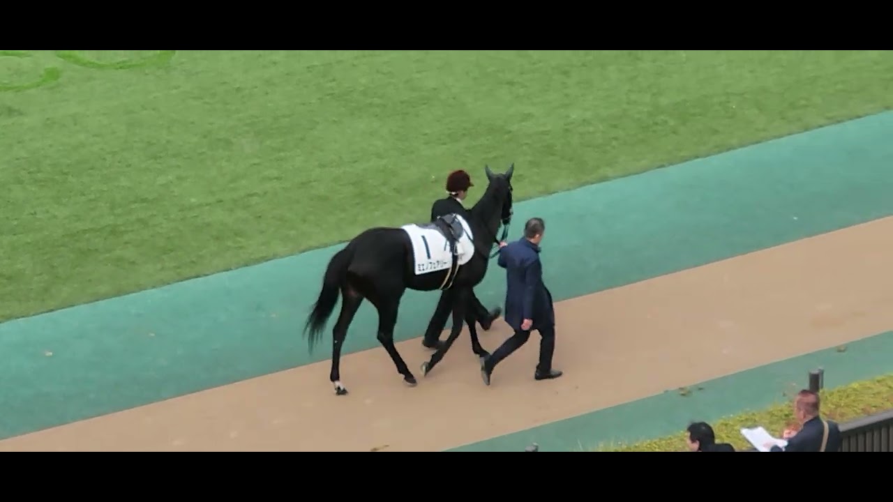 2026/02/14 東京12R ミエノフェアリー