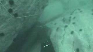 Buce Apnea En Quintero Chile