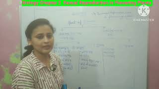 🌸 Parts of Flower | Class 12 Biology Chapter 2 | Sexual Reproduction in Flowering Plants |