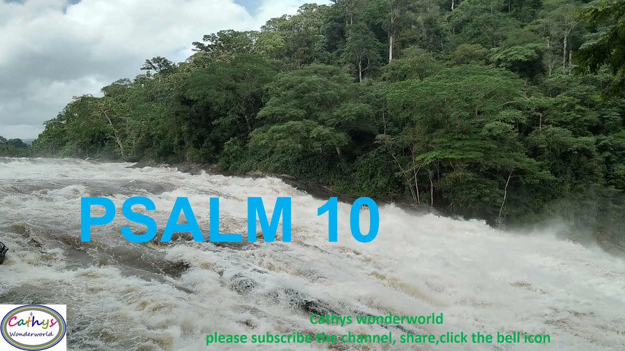 Cathyswonderworld English Bible Psalm 10 Psalms Psalm 10 Are You Ready To Read Psalm 10 With Me Youtube
