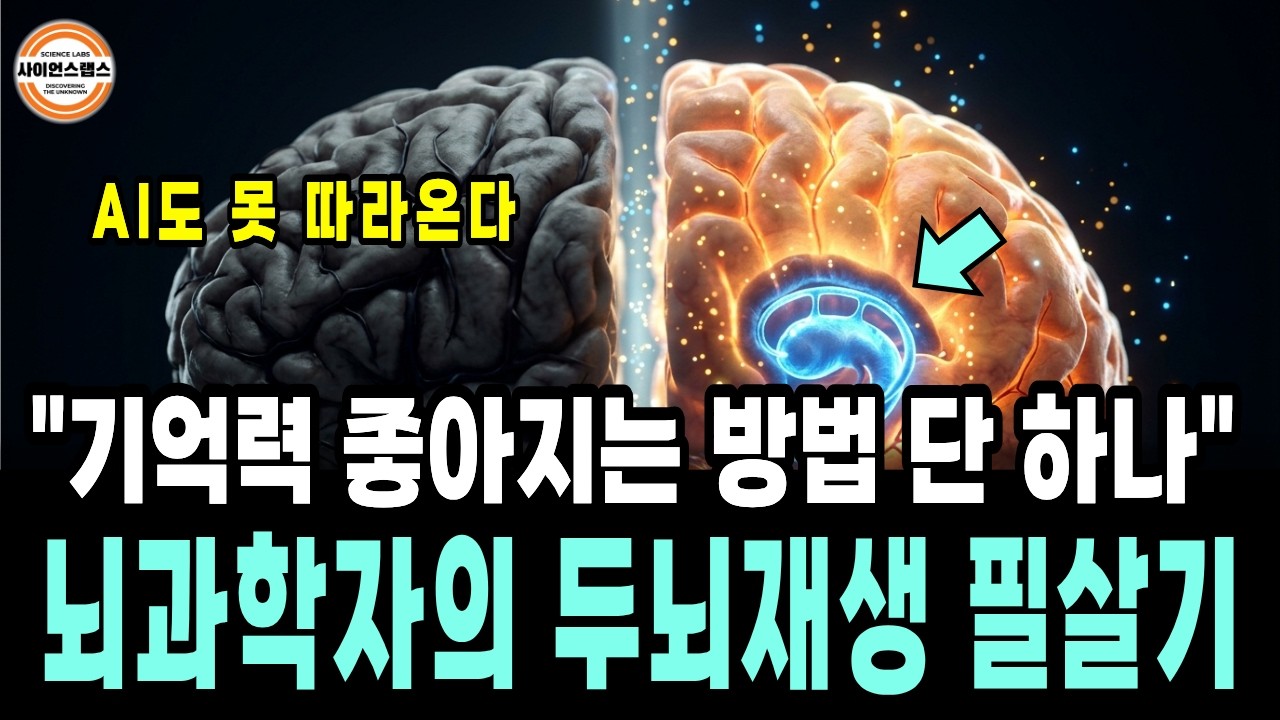 "한 번 보면 평생 기억해요" 영양제보다 뇌과학자가 강조한 단 하나의 습관 (뇌 좋아지는 방법) thumbnail