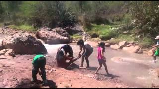 Pitahua jugando en el rio