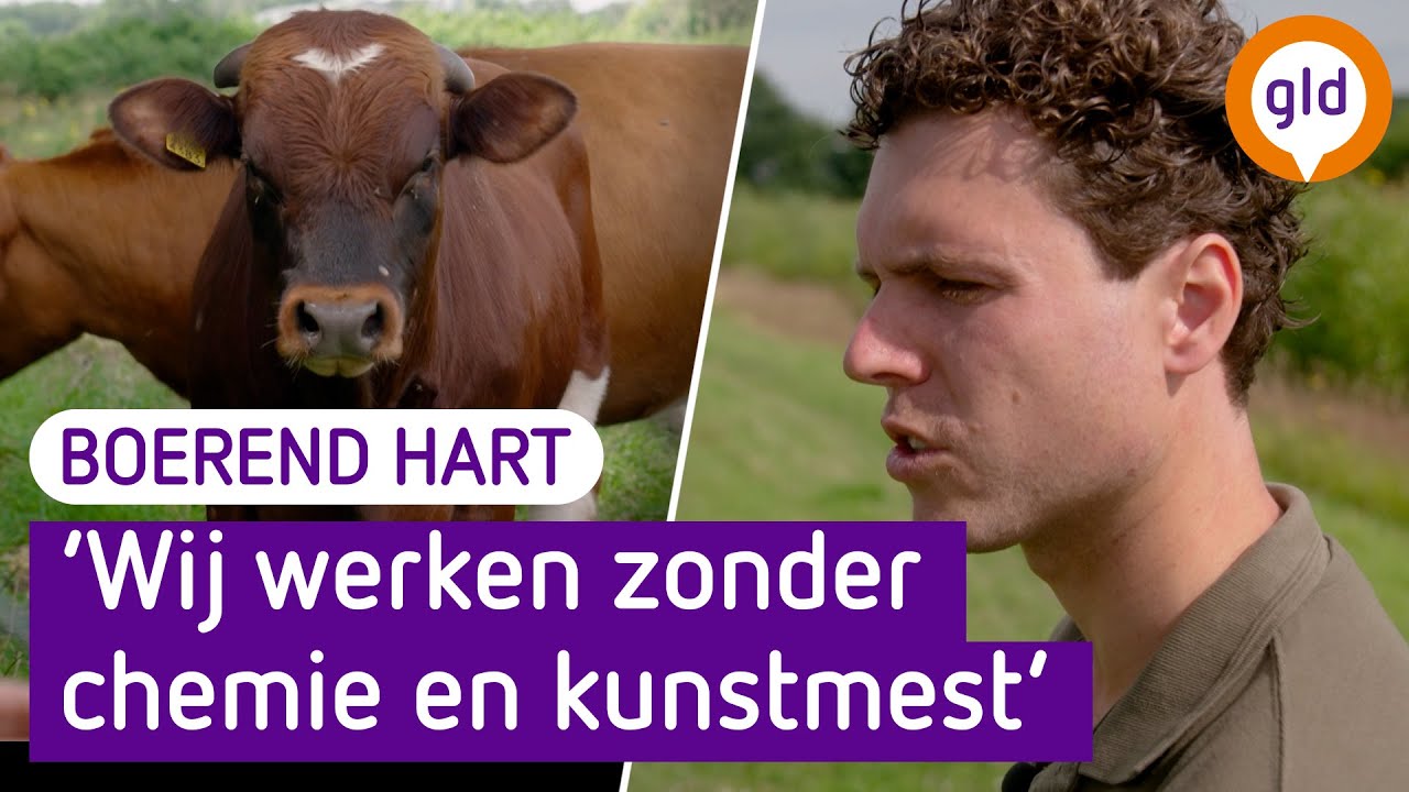 BOER STAN verdient GELD met de NATUUR | Boerend Hart
