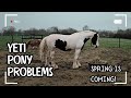 Yeti pony problems (how do people deal with this?!) / Equestrian VLOG