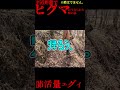 「ヒグマの肺活量エグい。」至近距離にヒグマが。友人の話。※ヒグマはでません。