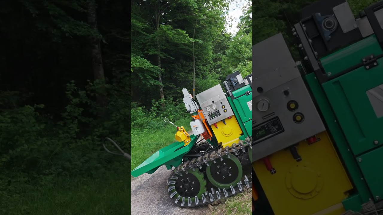 Die Raupe komplett ausgestattet