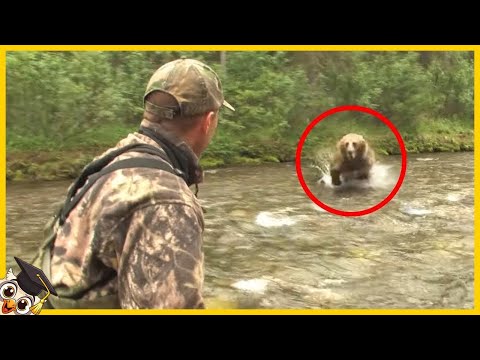 Video: Questo cagnolino è sicuro dopo essersi bloccato tra una corteccia e un luogo duro