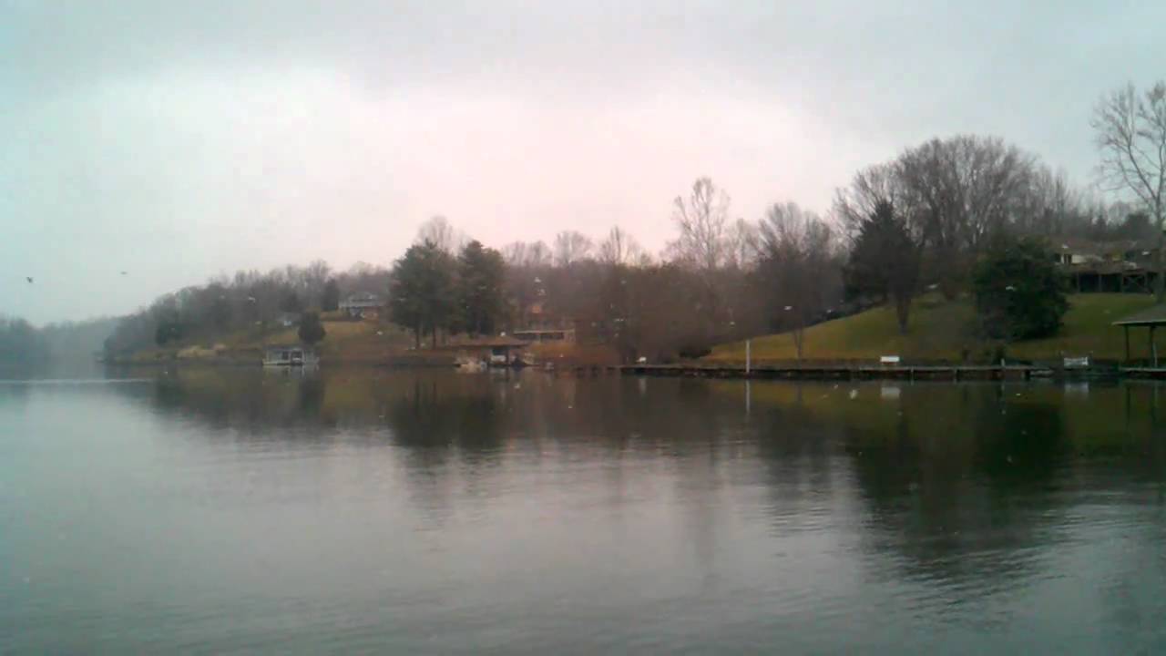 Birds working at stripers Smith Mountain Lake YouTube