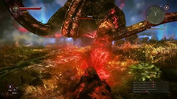 The Witcher 2 Kayran No Damage (Dark)