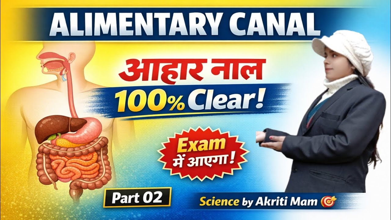 Alimentary Canal Part 02 Stomach se Anus tak || Class 10 Biology