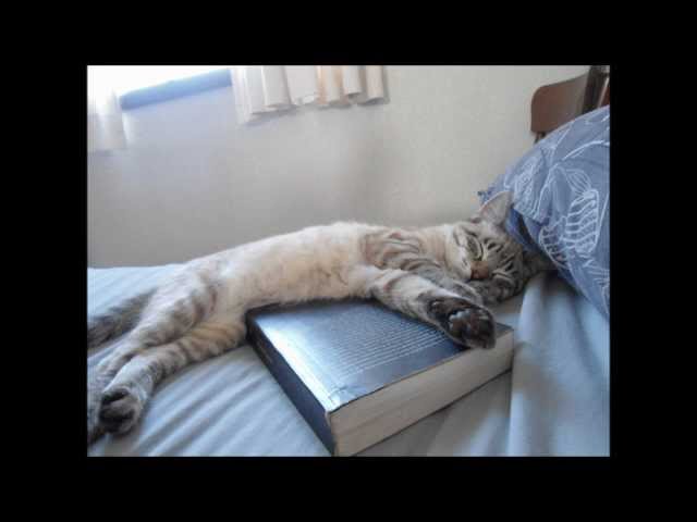 Wax - Heaven In Her Bed