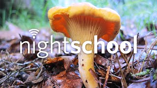 NightSchool: Fungi Underground