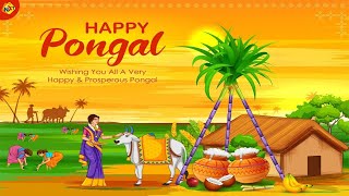 Happy Pongal 2024 |  Makara Sankranti Wishes Videos 2024 | Makar Sankranti WhatsApp status | TVNXT