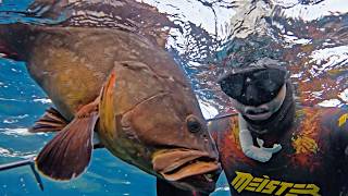 Scary Moment - Boat Passing Over my Head Dusky Grouper in my Hands