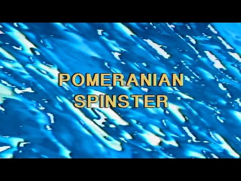 Video Pomeranian Spinster