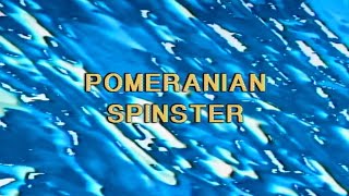 Alvvays - Pomeranian Spinster [Official Audio]