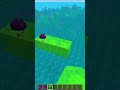 100,000 Endermans VS 1 Endermite VS Slime Block😲 #minecraft #shorts