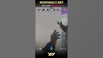 ModVault - Plague CS2 Highlights #csgo #cs2cheats #ez #vac #valve #cs2hacking #cs2hacks