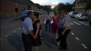 Simion Moise - LIVE - Nuntă Alin și Larisa