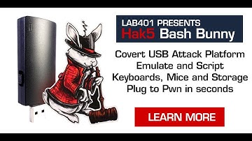 Hak5 Bash Bunny presentation by Lab401.com