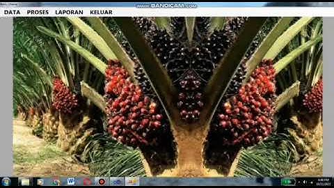 Sistem Pendukung Keputusan Pemberian Bonus Kepada Karyawan Menggunakan Metode MAUT