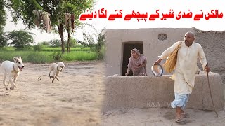 Dogs vs Faqeer- 2 | Airport Anum Helmet \& Rocket New Funny | Punjabi Comedy video 2021 | K\&A TV