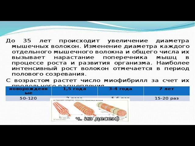 Адреналина гидрохлорид-Виал инструкция по применению лекарственного препарата