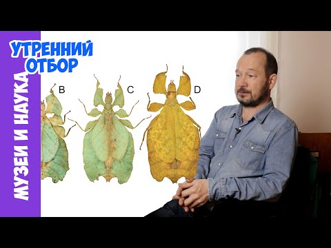 Vidéo: Exposer La Légende De Semyon Zolotarev Du Groupe Décédé D'Igor Dyatlov - Vue Alternative