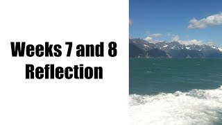 Week 7 and 8 Reflection HSC 230