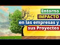 ¿Quieres Asegurar el ÉXITO de tus Proyectos? Aprende cómo son impactados por el entorno empresarial🌄