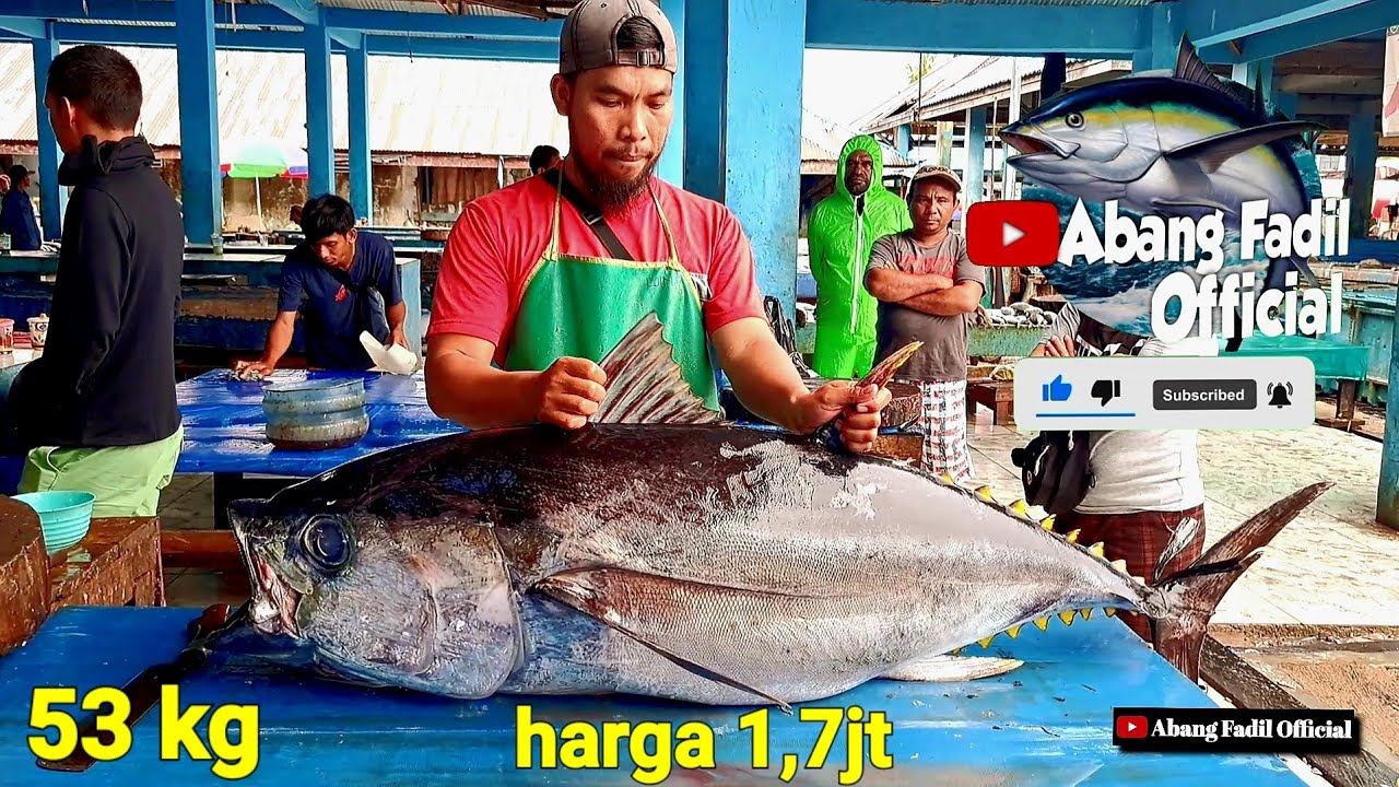 pemotongan Big TUNA Monster 53kg pesanan RM Seramba yg ada di perbatasan Temi nabuan,,,!!!