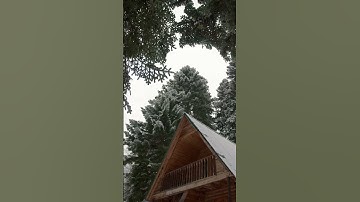 Chitthi #explore #youtubeshorts #shortsvideo #shortvideo #shorts #short