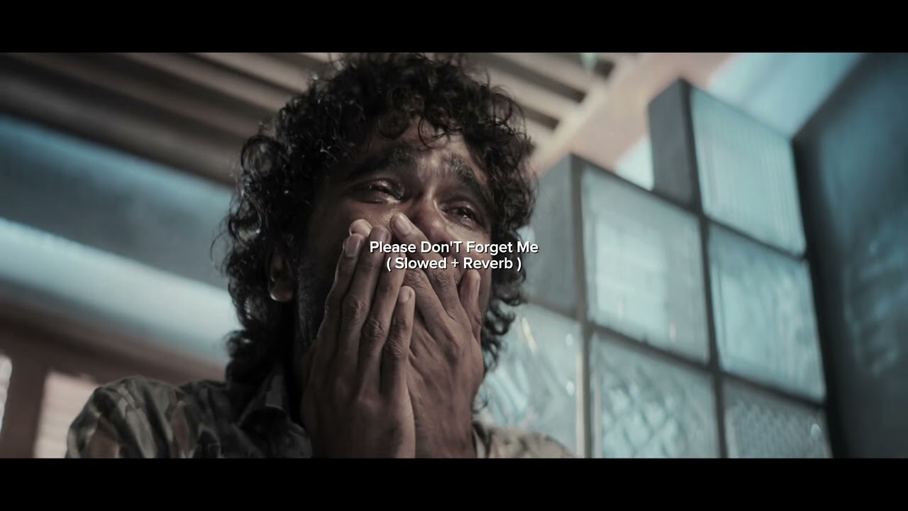Please Don't Forget Me ( Dude ) Slowed + Reverb |  Sai Abhyankkar 