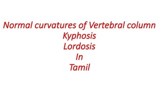 What is Kyphosis and Lordosis in Tamil / Normal curvature of spine in Tamil/ kyphosis and Lordosis