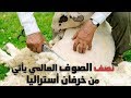 مسابقات جز صوف الخرفان في أستراليا !