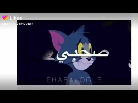 اجمل حلات واتس يارجاله شدي