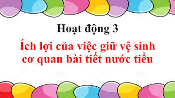 TNXH Bai 10 11 Hoạt động bài tiết nước tiểu   Vệ sinh cơ quan bài tiết nước tiểu
